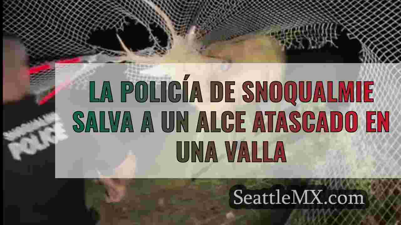 La Policía de Snoqualmie salva a un