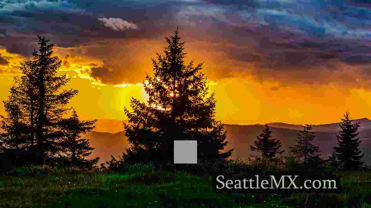 Noticias de Seattle SeattleMX