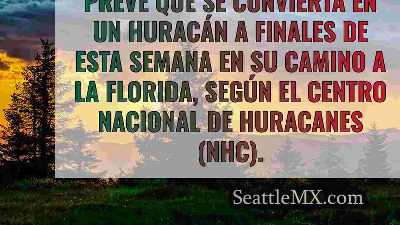 Noticias de Seattle SeattleMX
