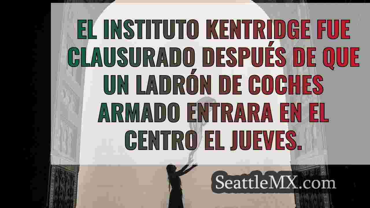 Bloquean el instituto Kentridge tras la