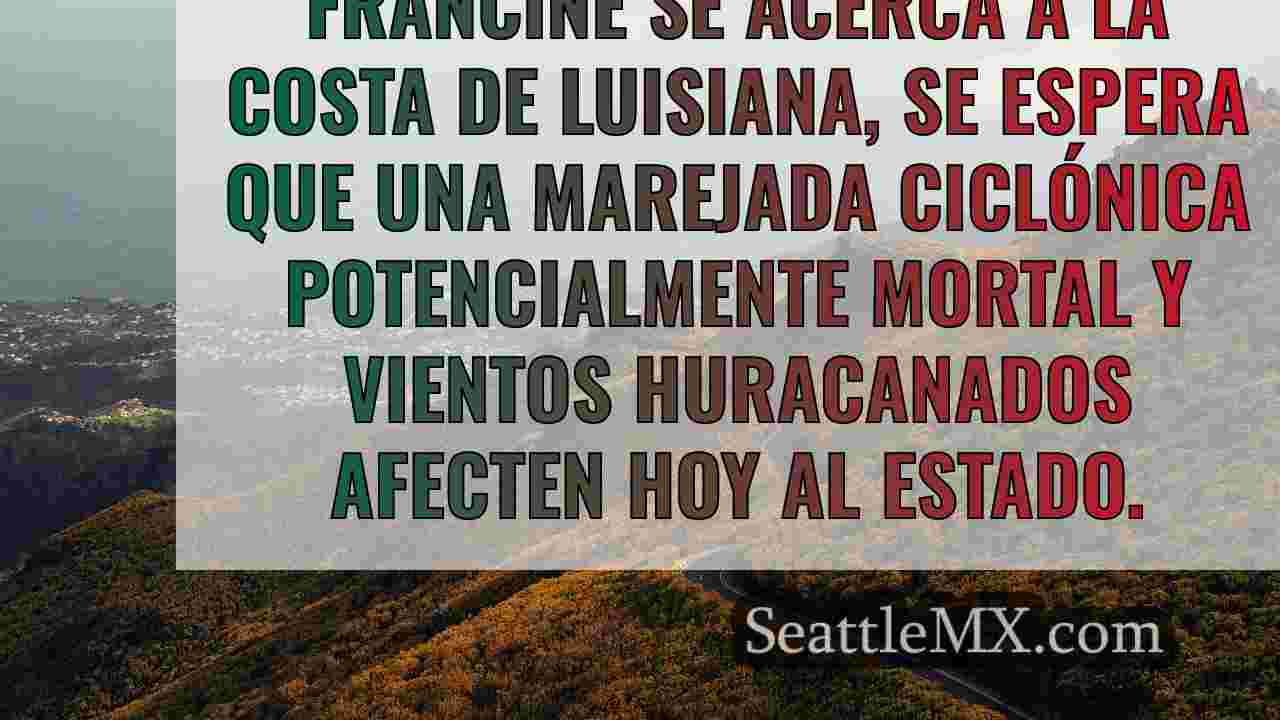 Información actualizada sobre el