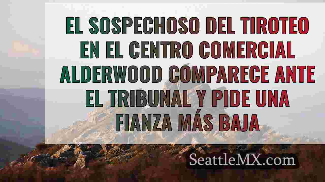 El sospechoso del tiroteo en el centro