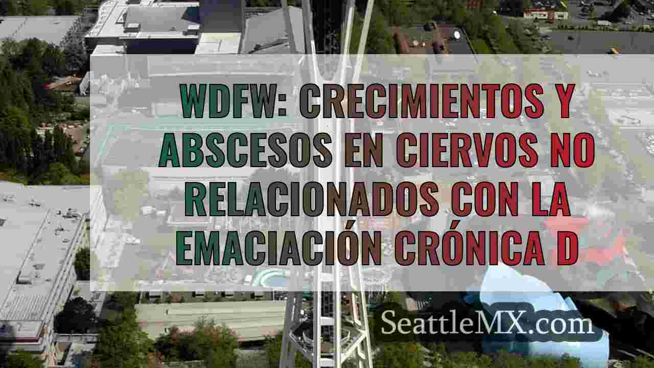 Noticias de Seattle SeattleMX