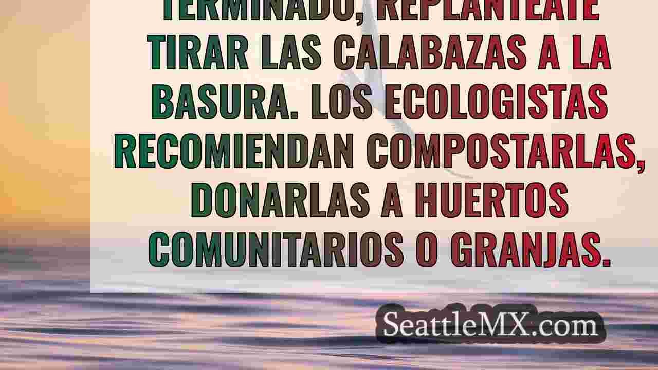 Noticias de Seattle SeattleMX