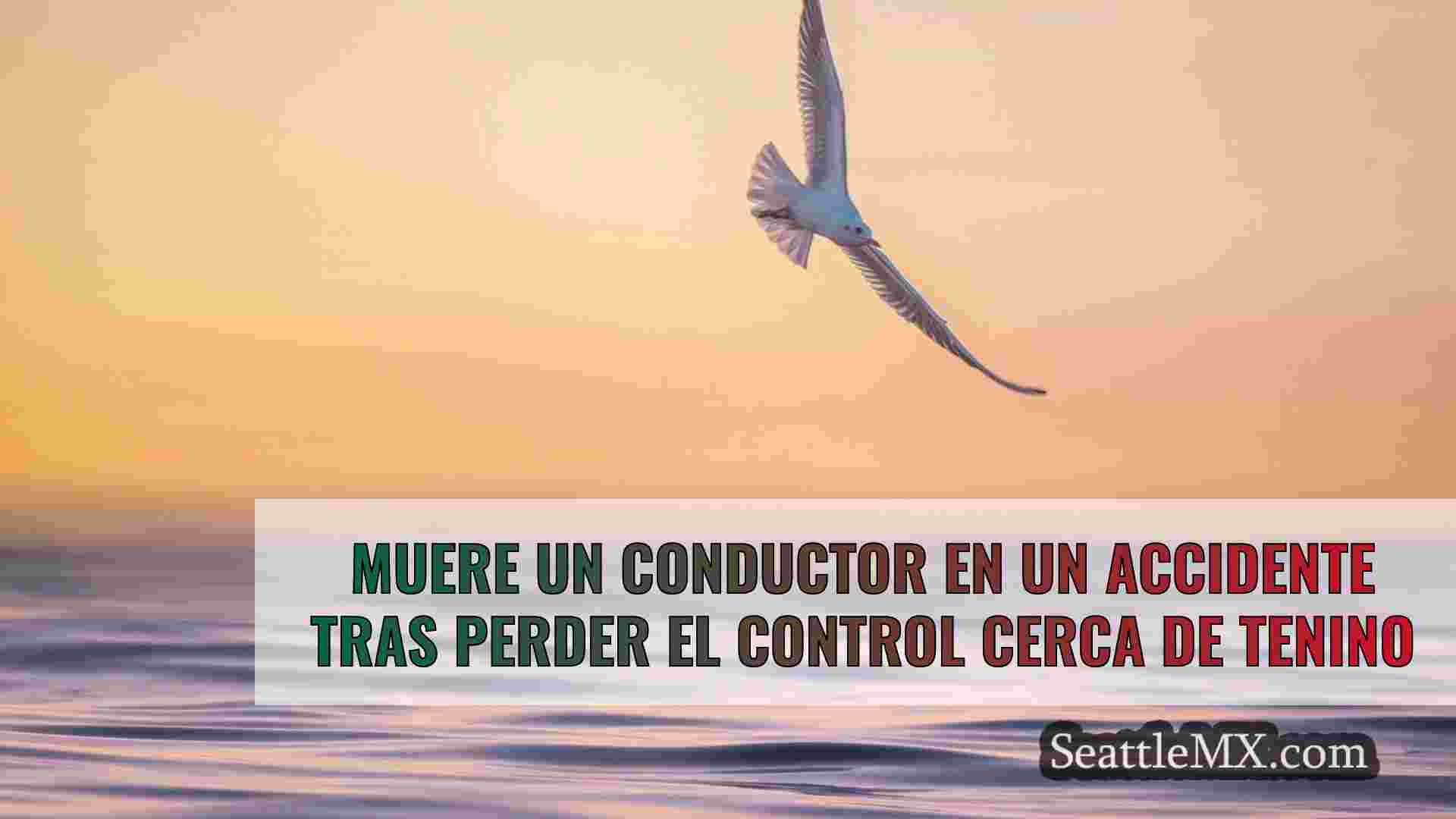 Noticias de Seattle SeattleMX