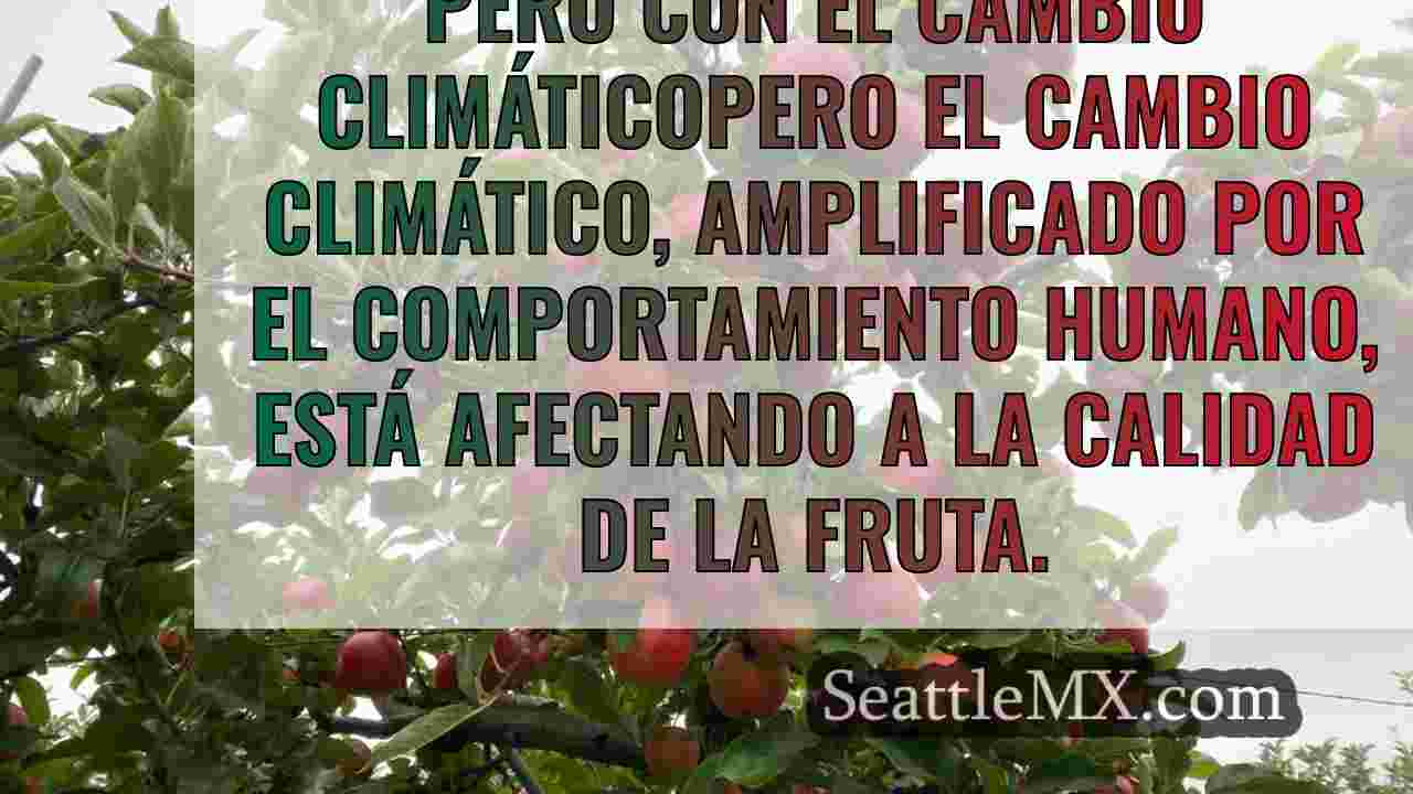 El cambio climático afecta a la calidad