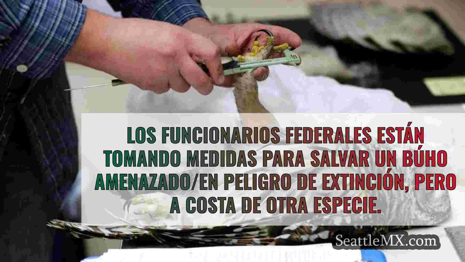 ¿Puede el nuevo plan de gestión de