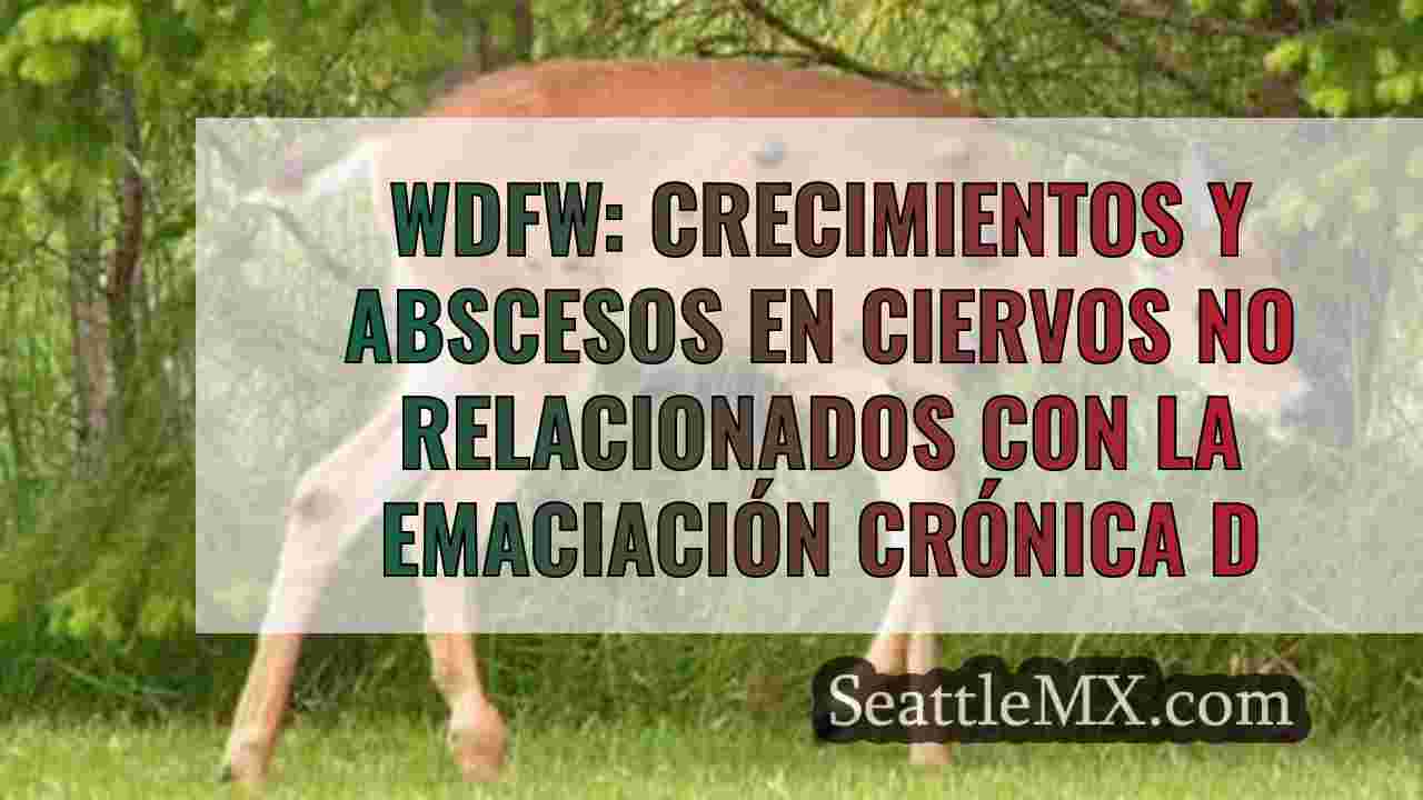 WDFW: Crecimientos y abscesos en