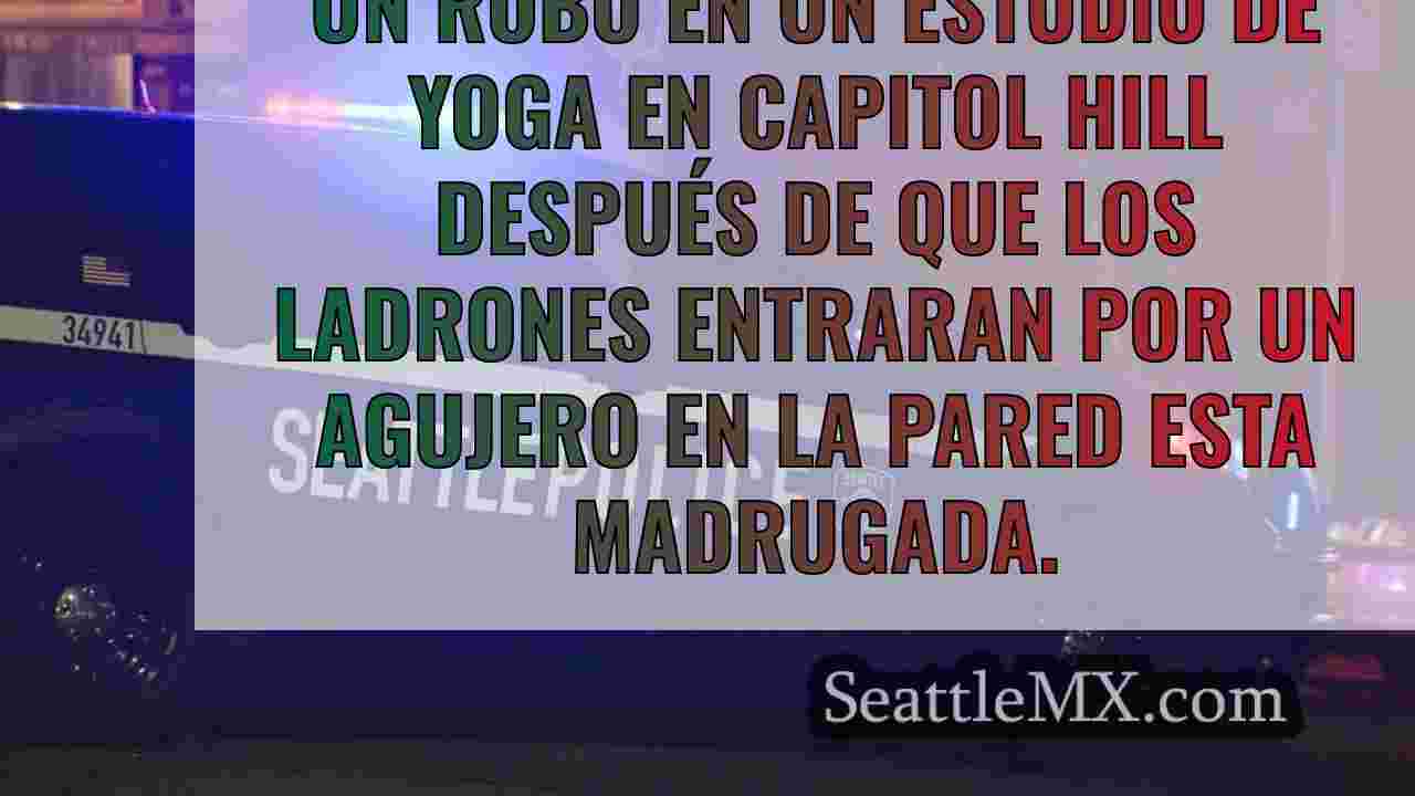 Los ladrones irrumpen en un estudio de