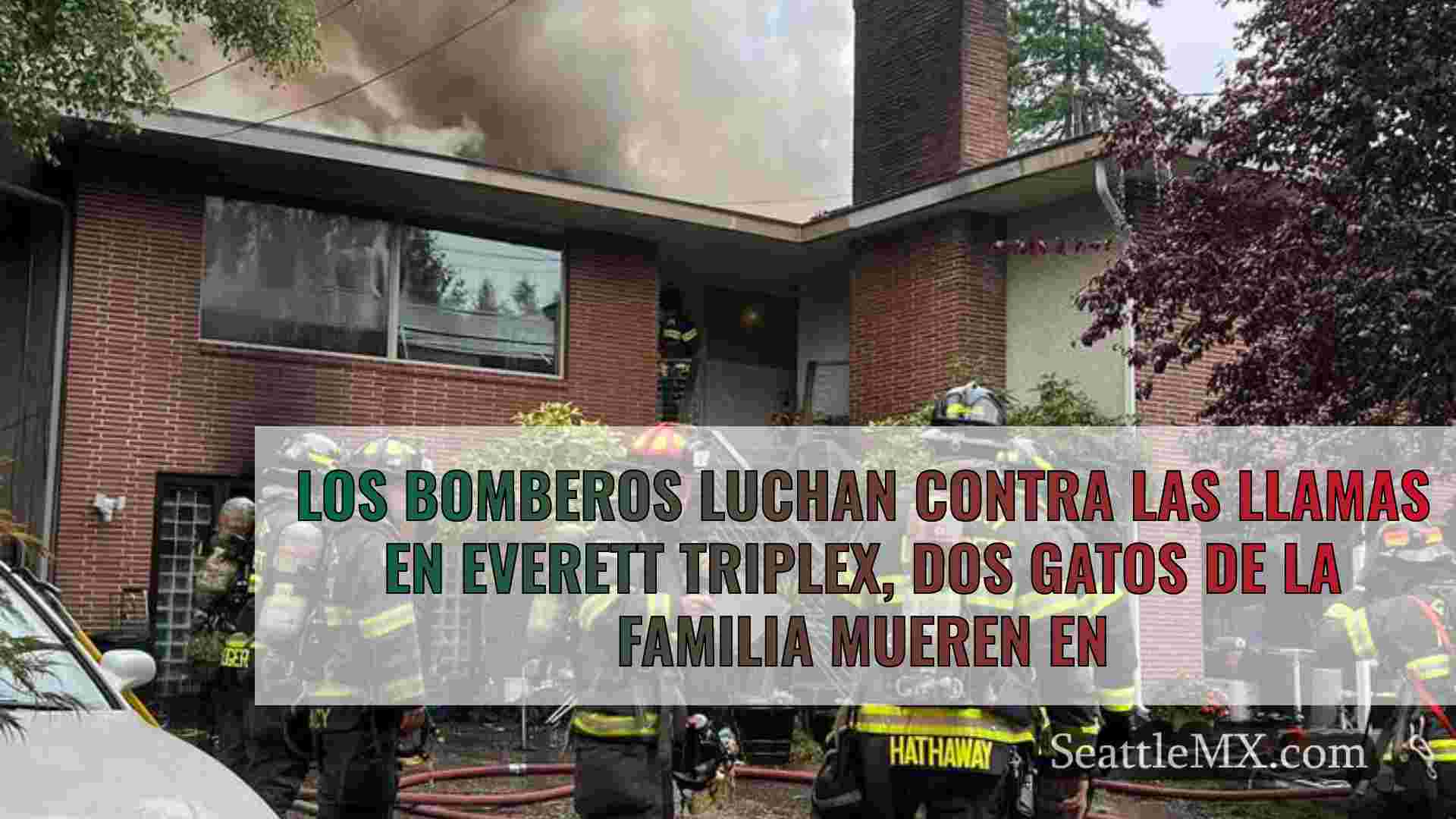 Los bomberos luchan contra un incendio