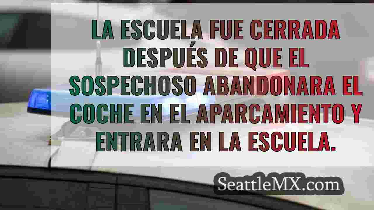 Detenido un sospechoso tras robar a