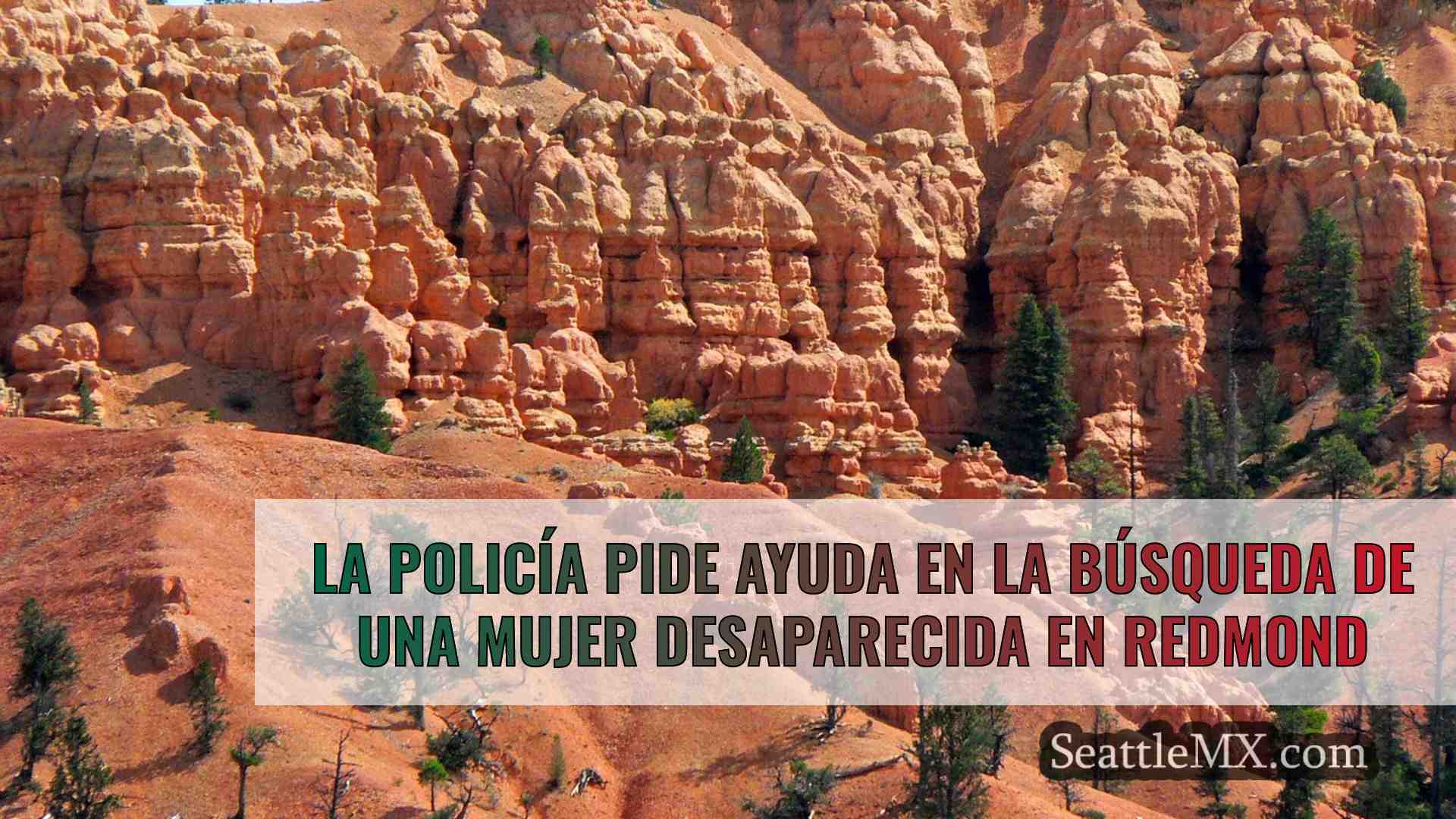 Noticias de Seattle SeattleMX