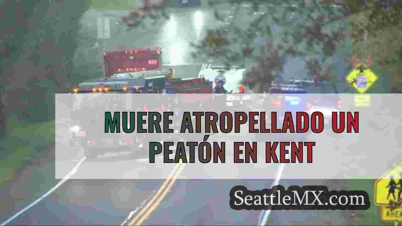Muere atropellado un peatón en Kent