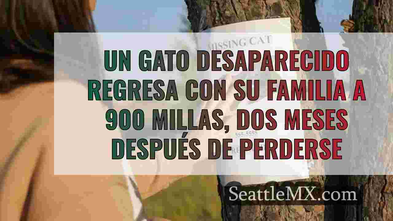 Dos meses después de perderse en