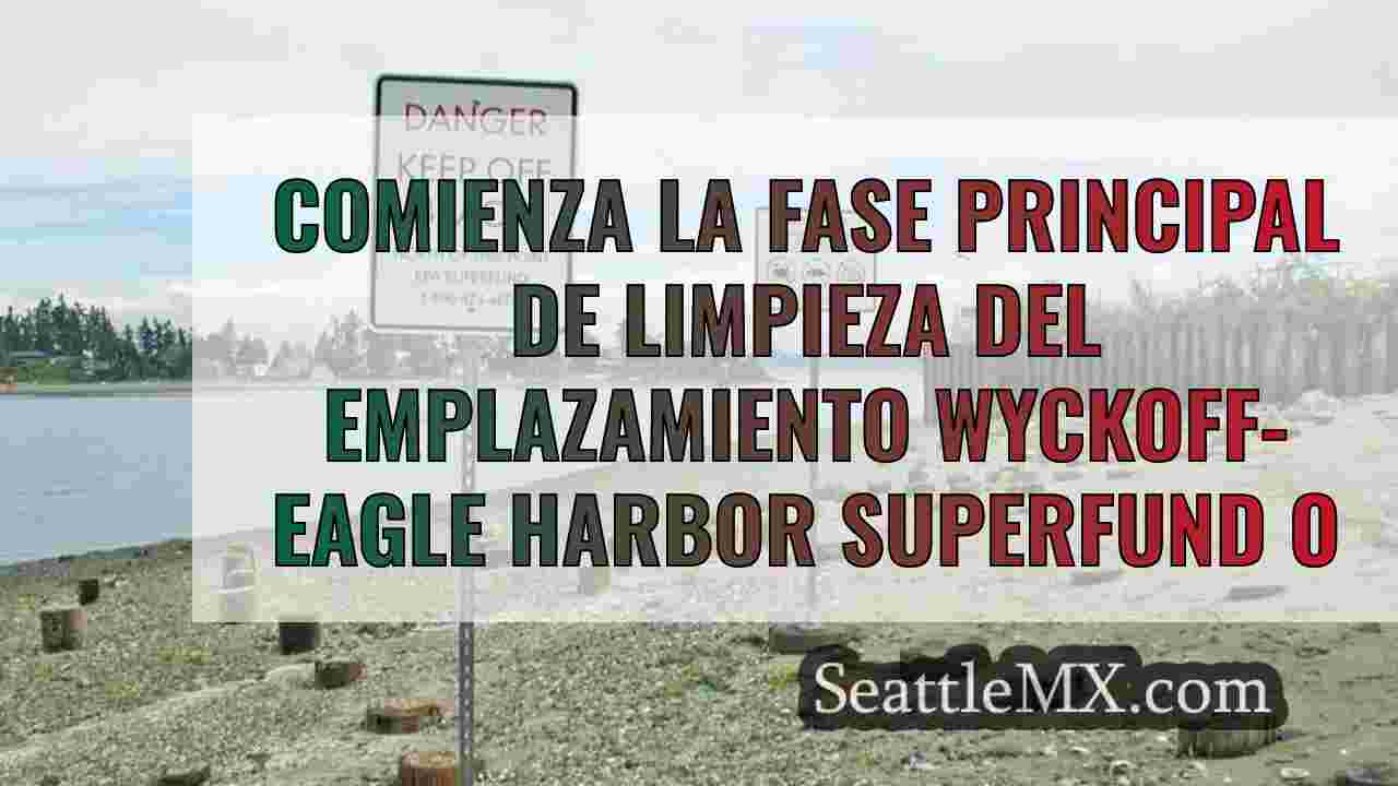 Comienza la fase principal de limpieza