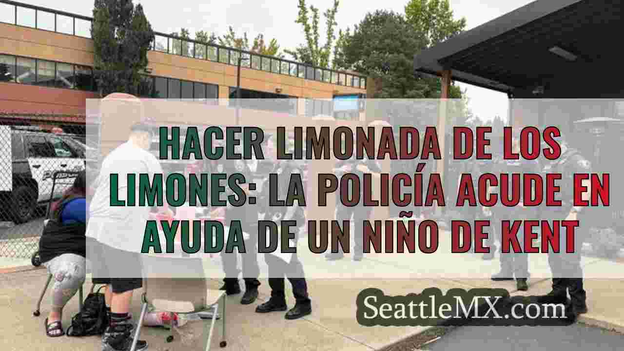 Hacer limonada de los limones: La