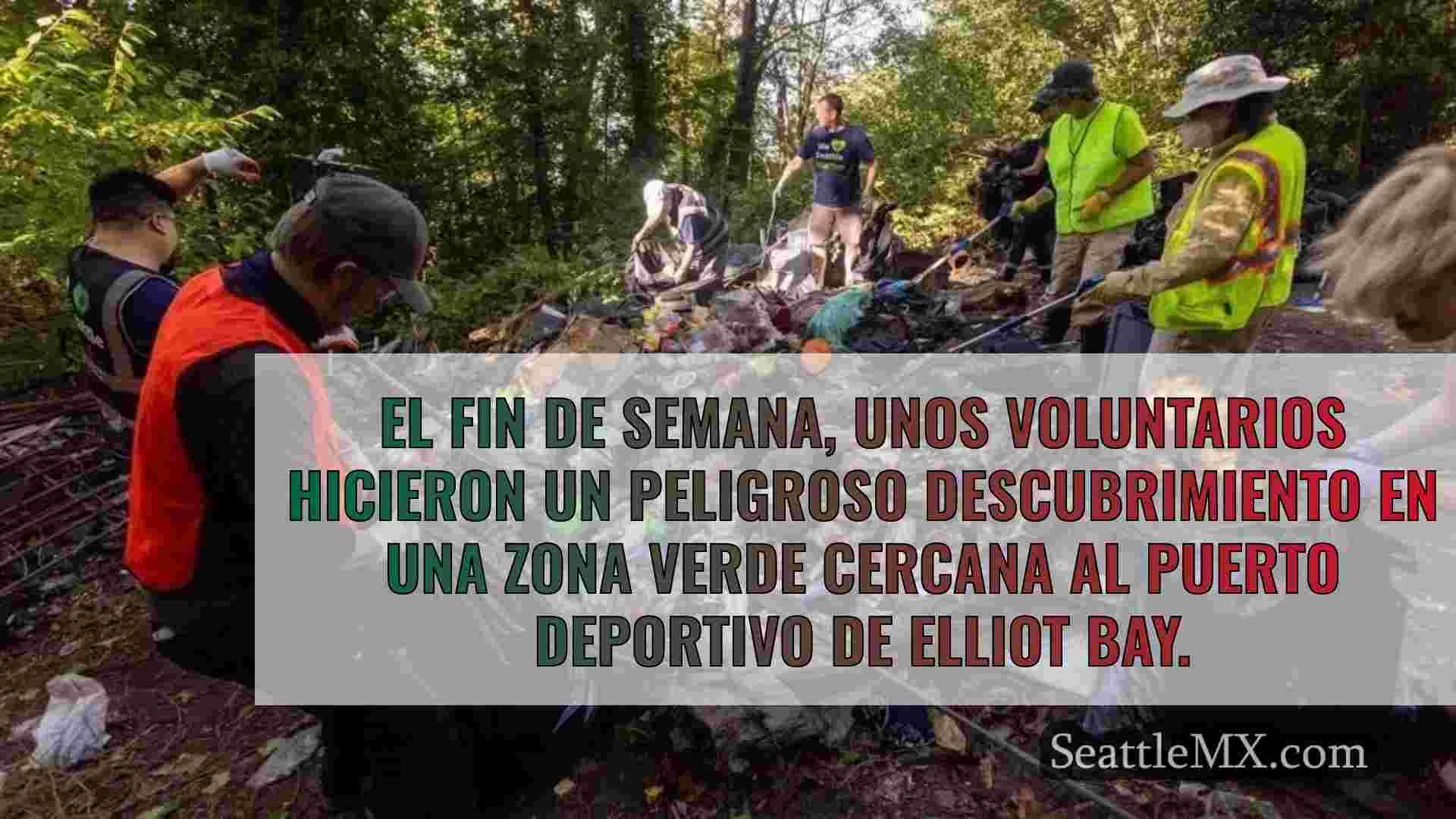Los voluntarios retiran más de 80