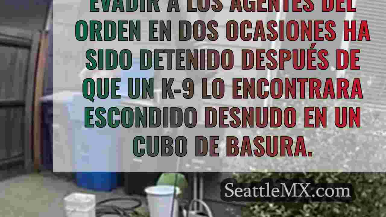 Hombre desnudo detenido después de K-9