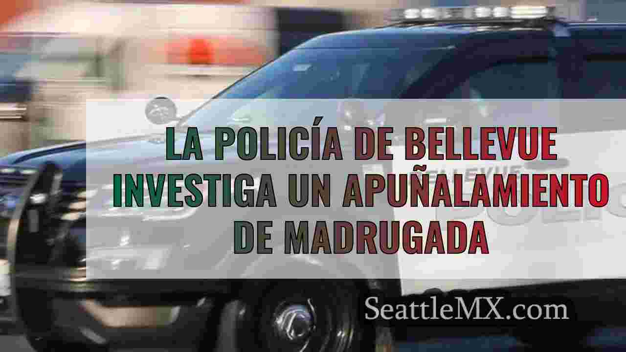 La policía de Bellevue investiga un