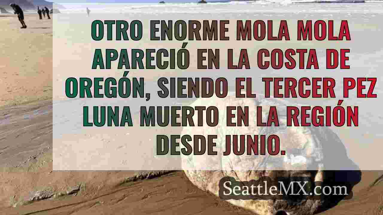 Noticias de Seattle SeattleMX