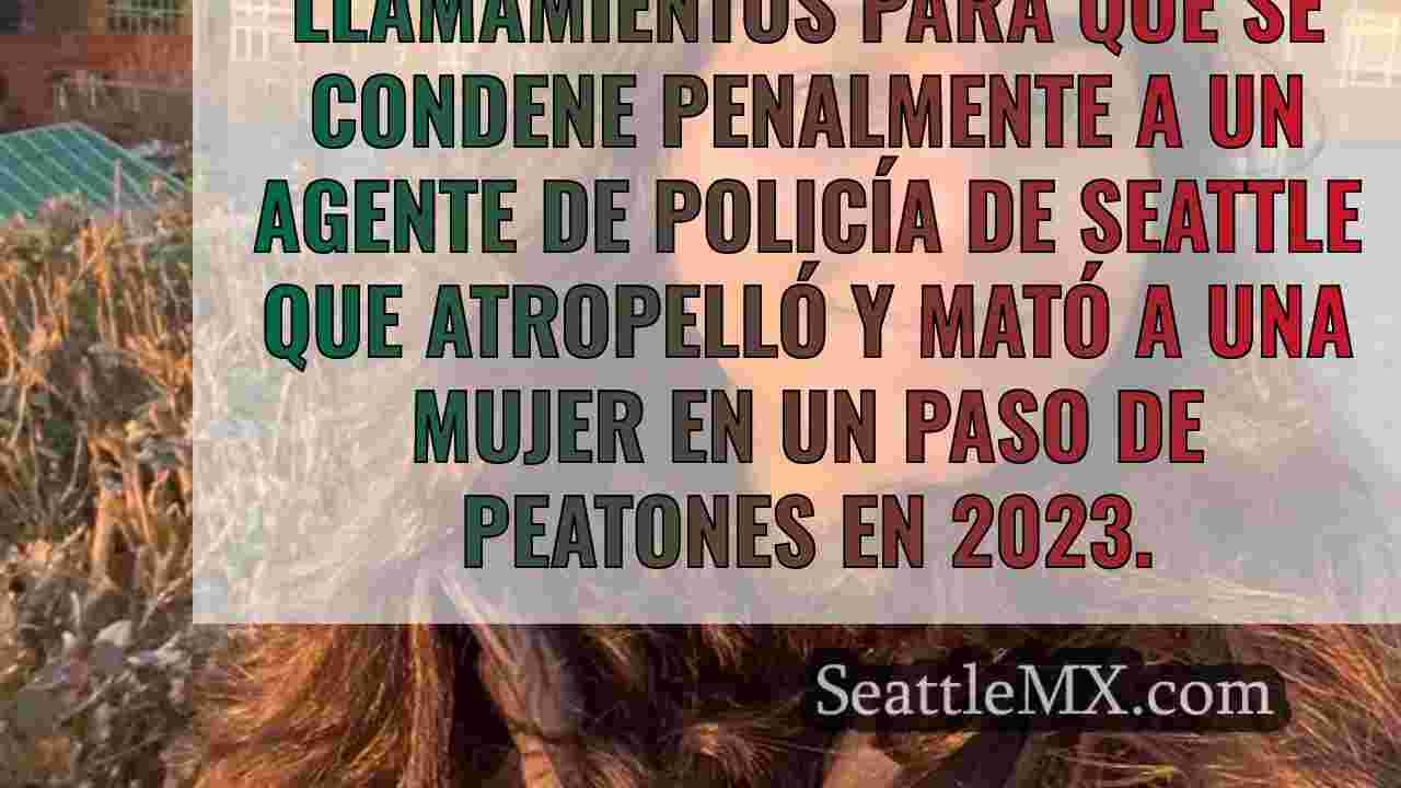 Noticias de Seattle SeattleMX
