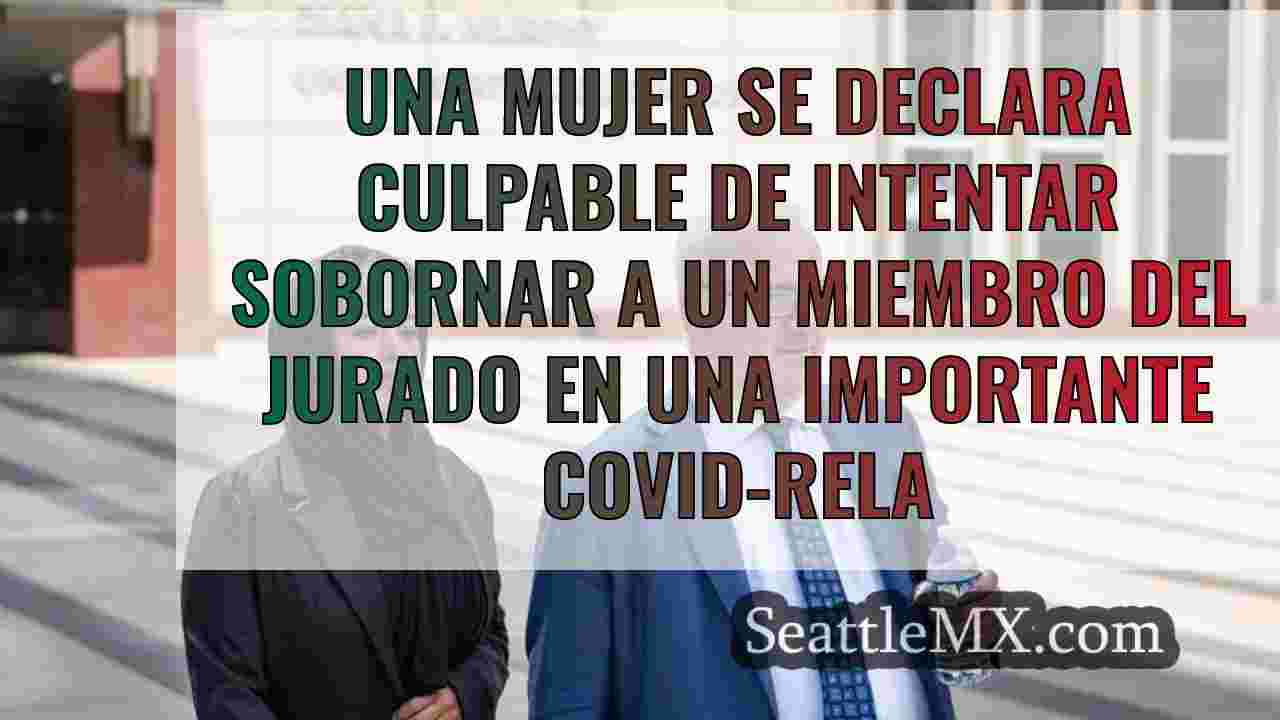 Una mujer se declara culpable de