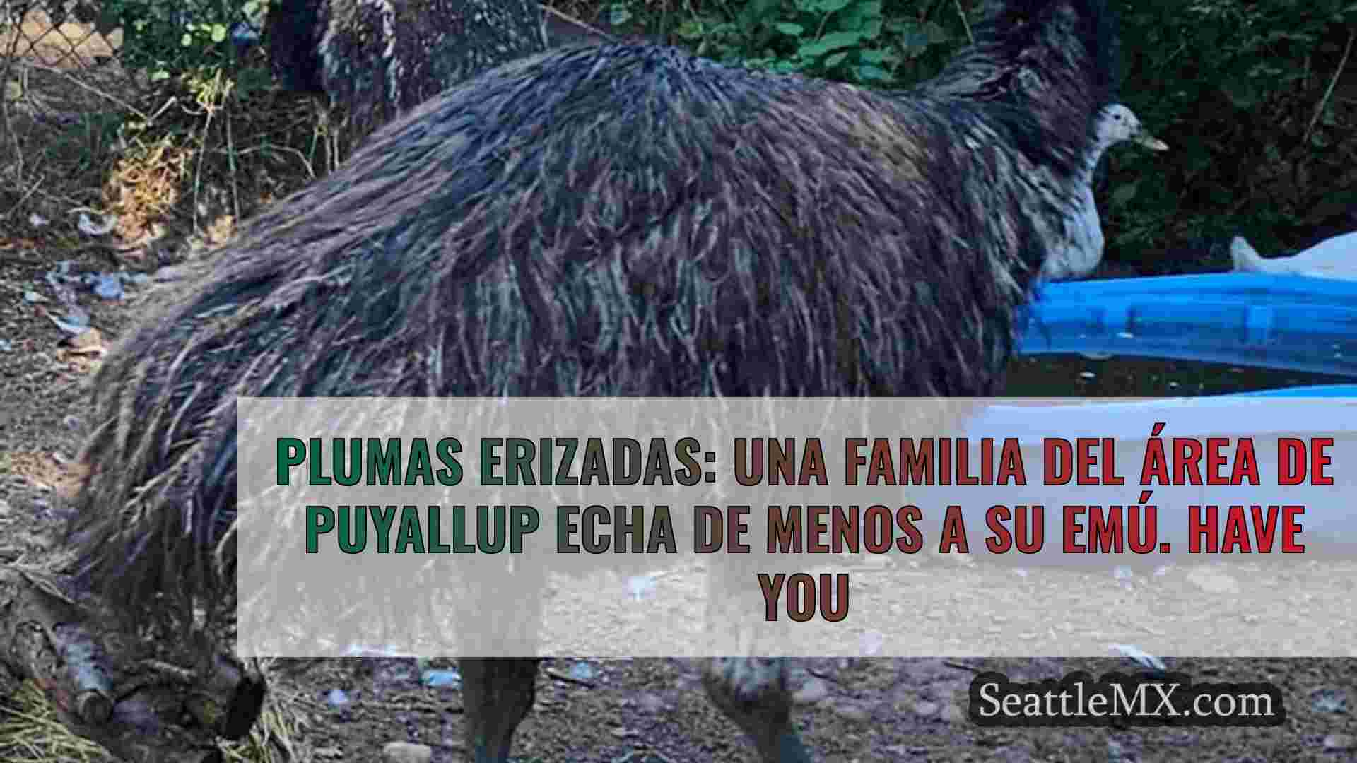 Plumas erizadas: Una familia del área