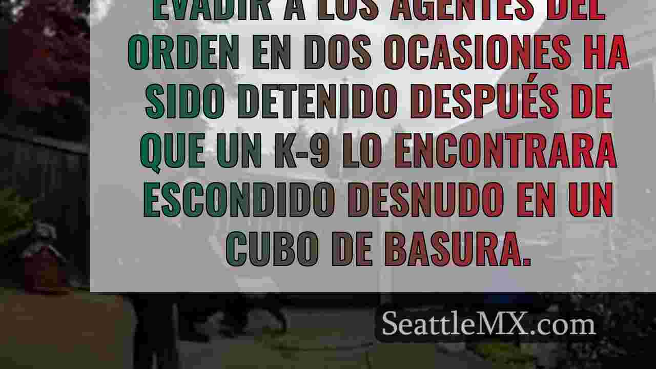 Noticias de Seattle SeattleMX