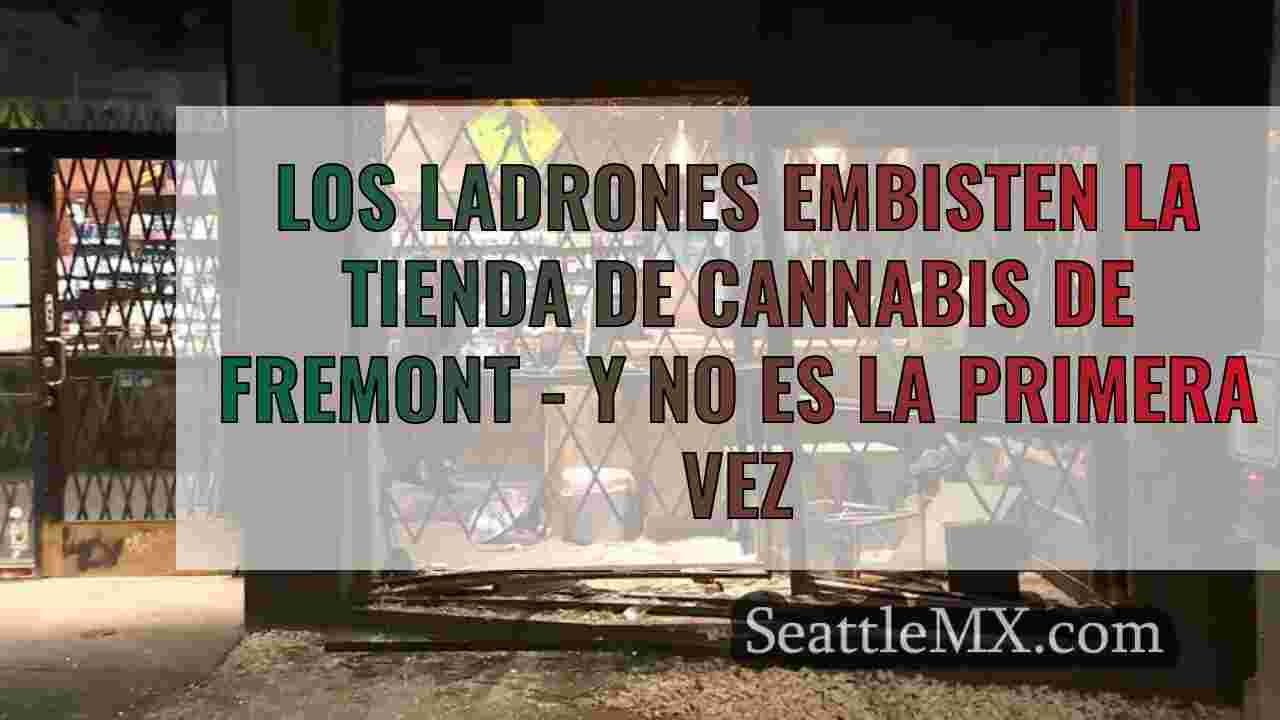 Los ladrones embisten la tienda de