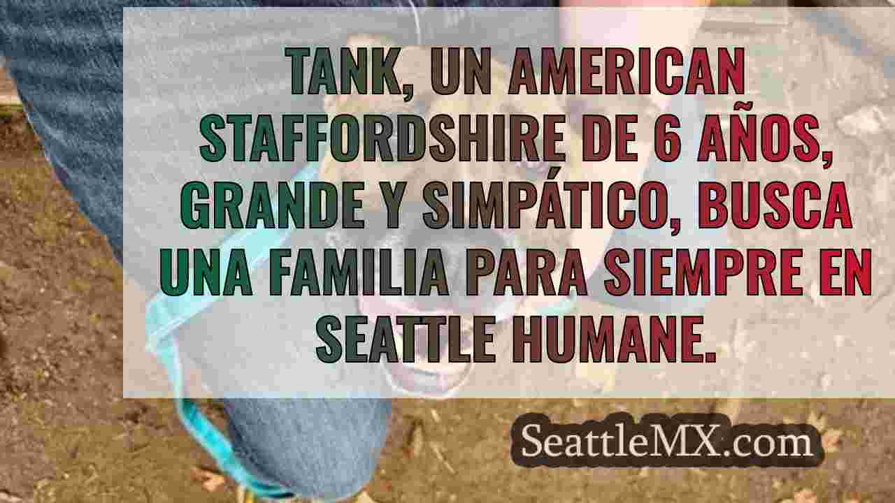 Noticias de Seattle SeattleMX