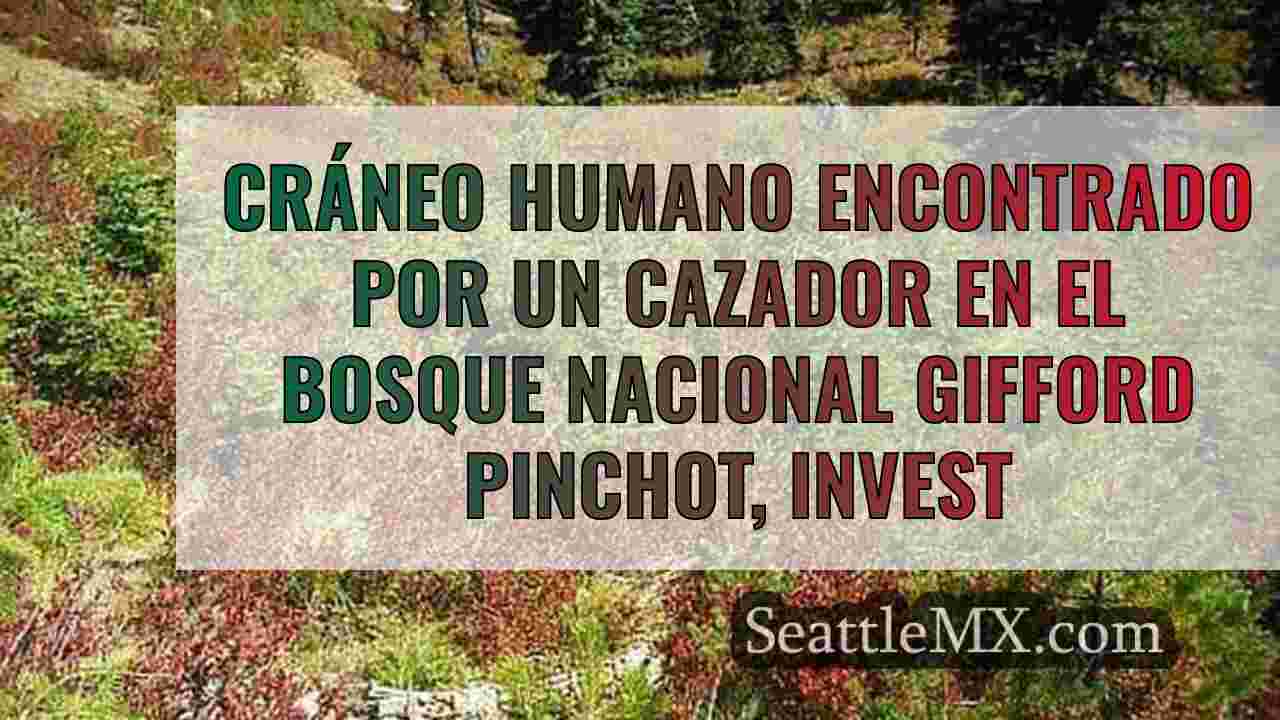 Hallado un cráneo humano por un cazador