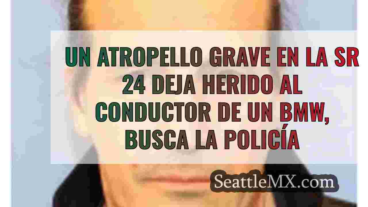 Un atropello grave en la SR 24 deja