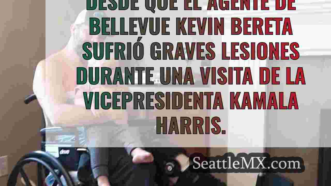 La experiencia cercana a la muerte de