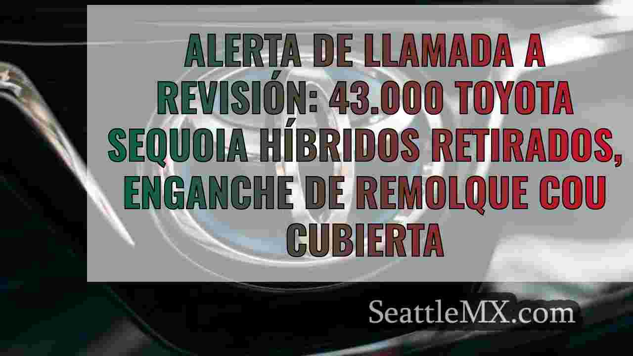Alerta de llamada a revisión: 43.000