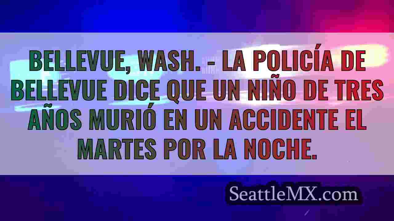 Muere un niño de 3 años en un accidente