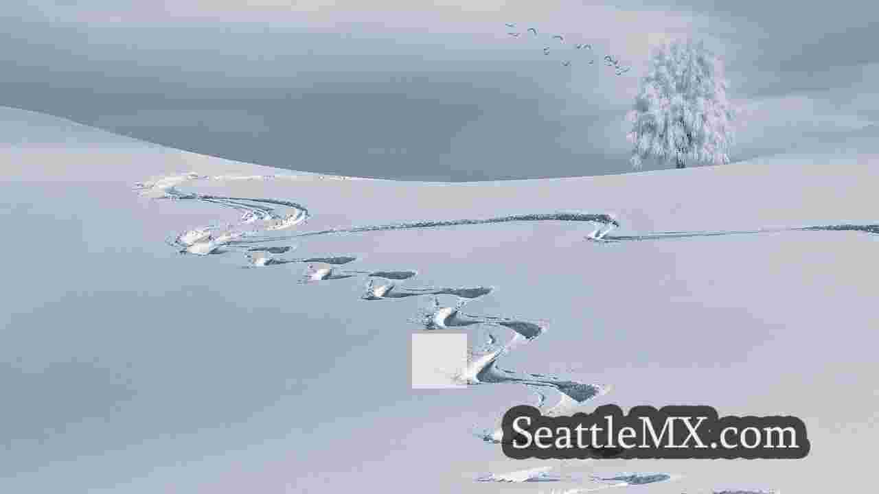 Noticias de Seattle SeattleMX