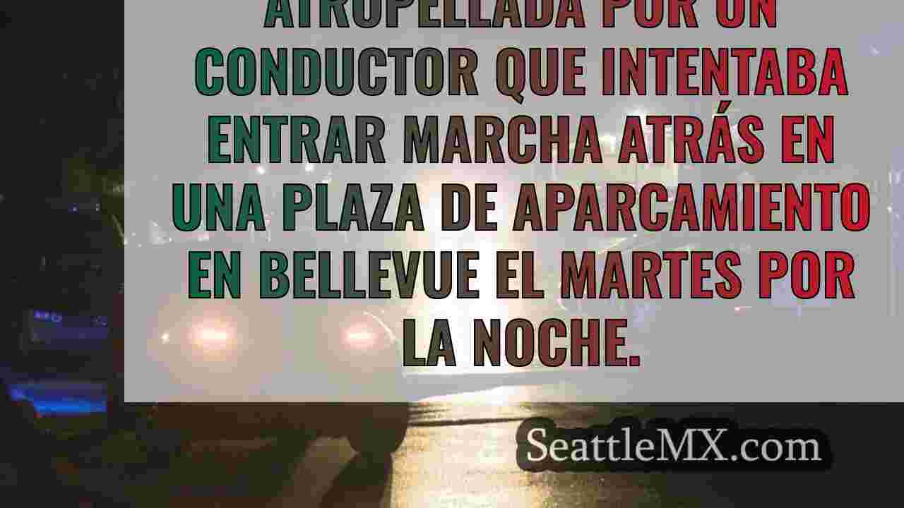 Una niña de 3 años muere atropellada
