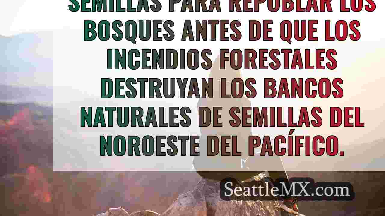 Noticias de Seattle SeattleMX
