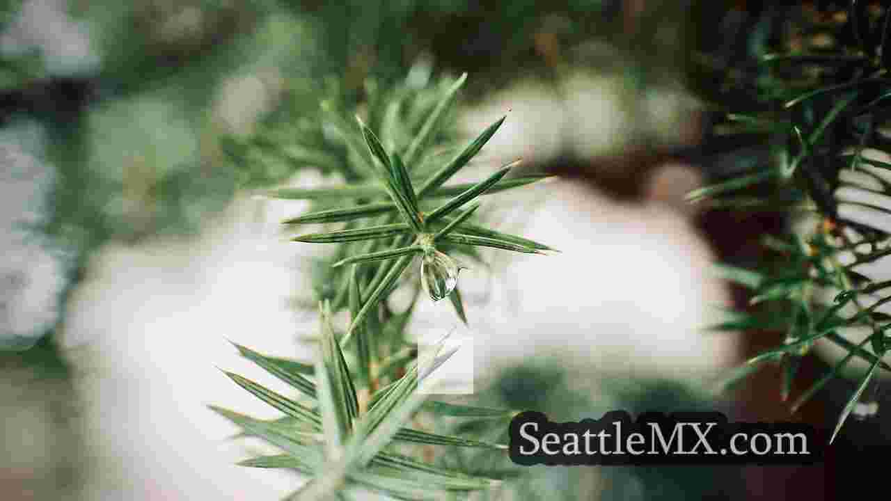 Noticias de Seattle SeattleMX