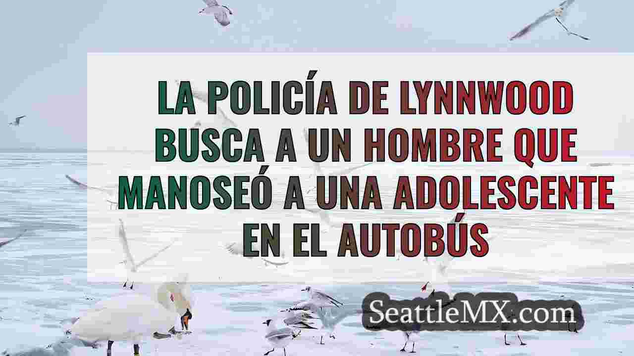 Noticias de Seattle SeattleMX