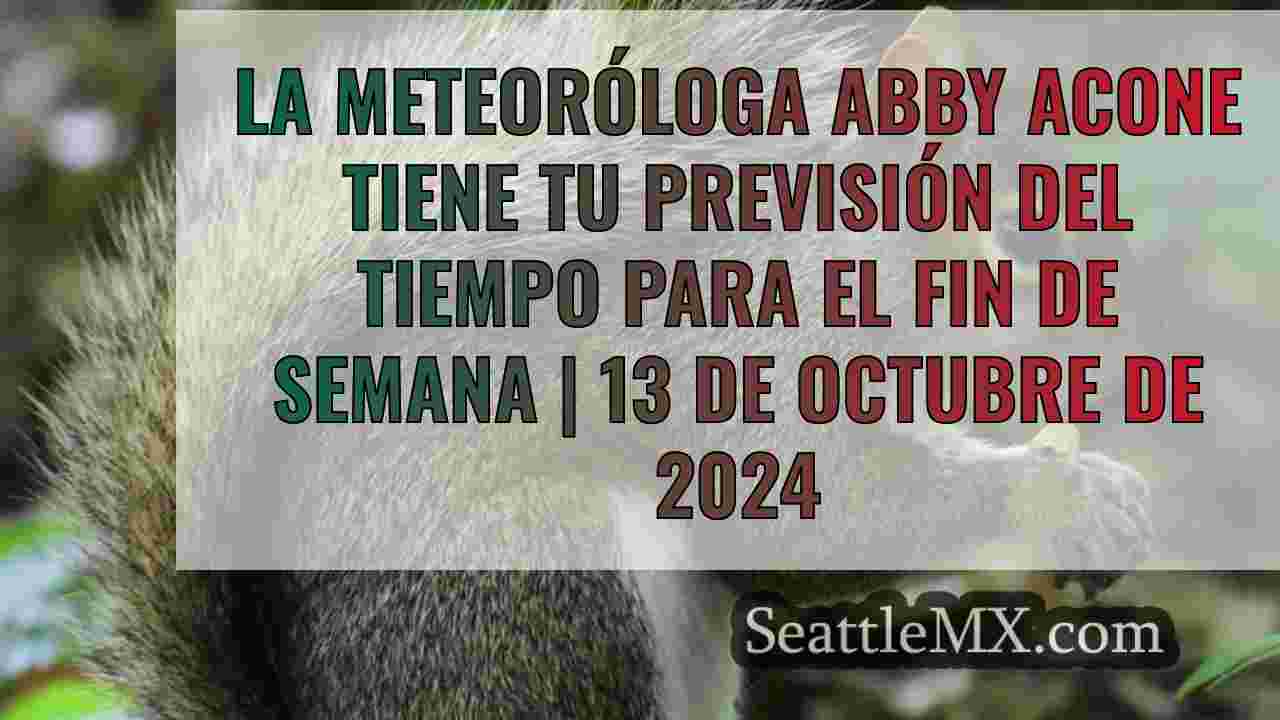 Noticias de Seattle SeattleMX