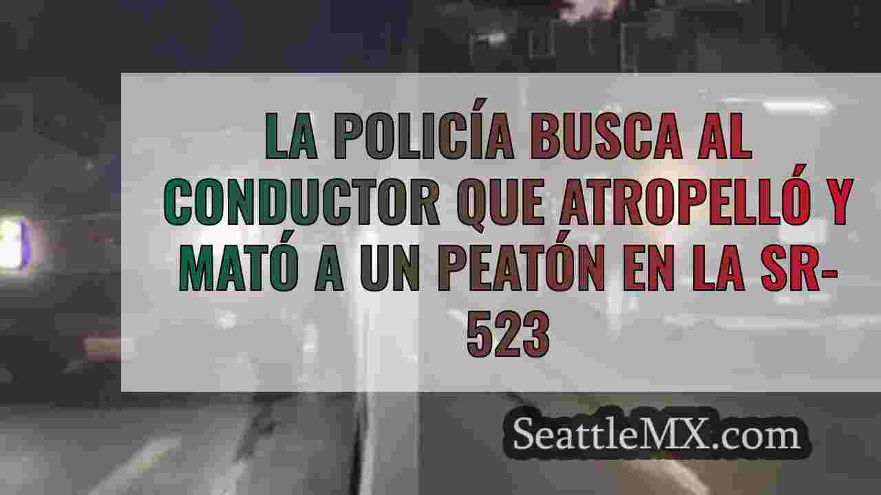La policía busca al conductor que