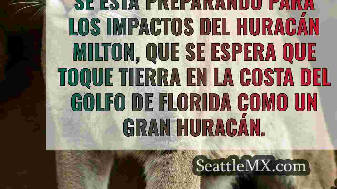 Noticias de Seattle SeattleMX