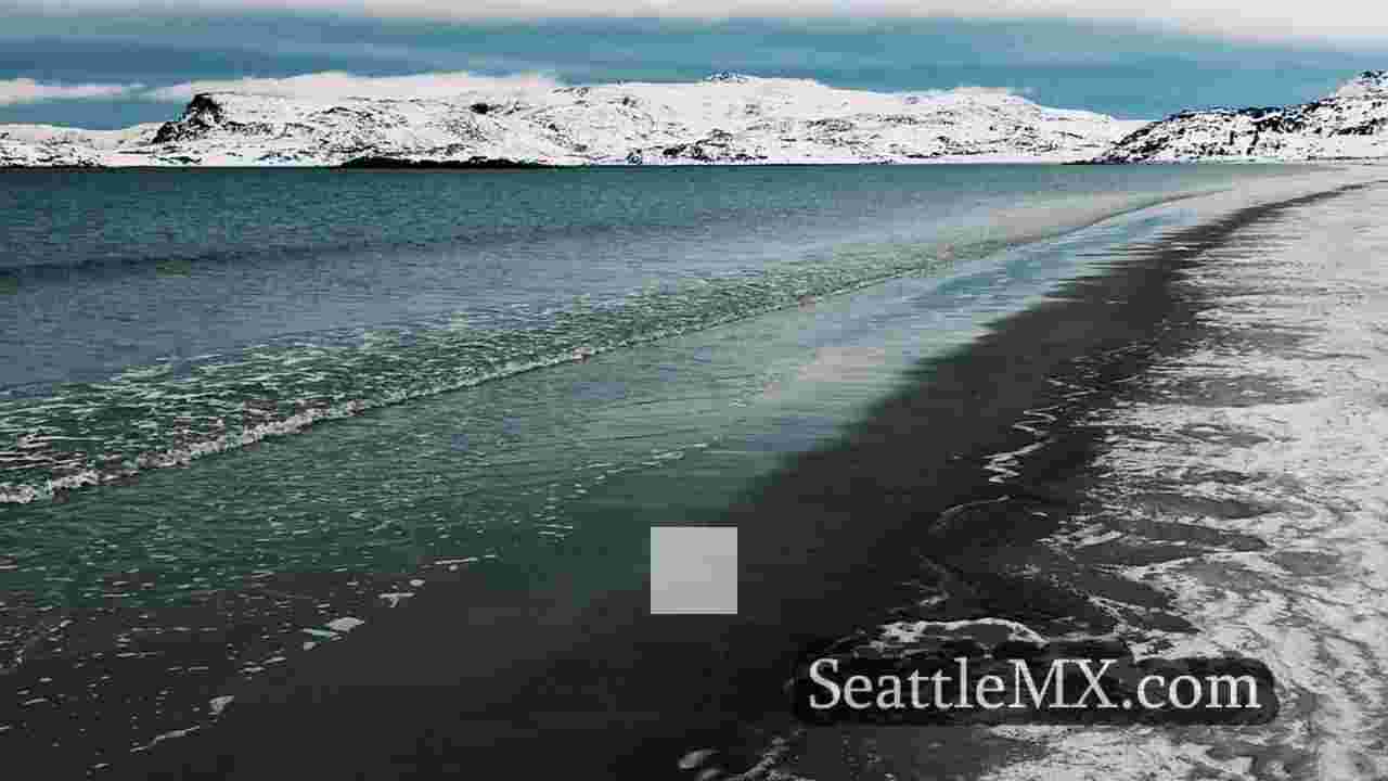 Noticias de Seattle SeattleMX