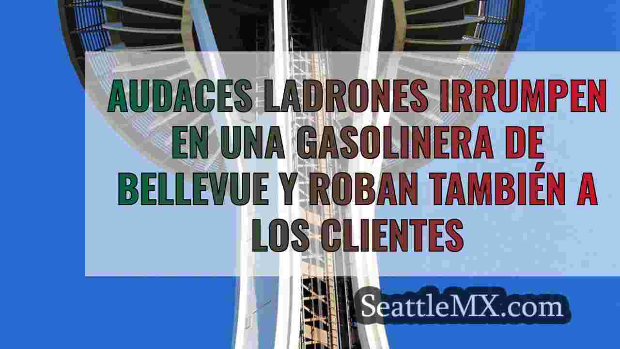 Audaces ladrones irrumpen en una