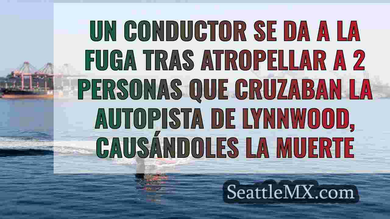 Noticias de Seattle SeattleMX
