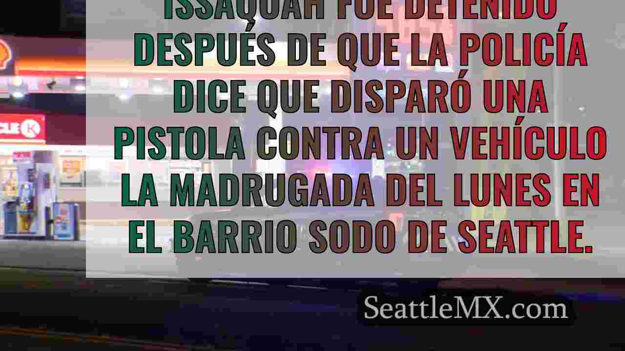 Detenido un hombre tras disparar contra