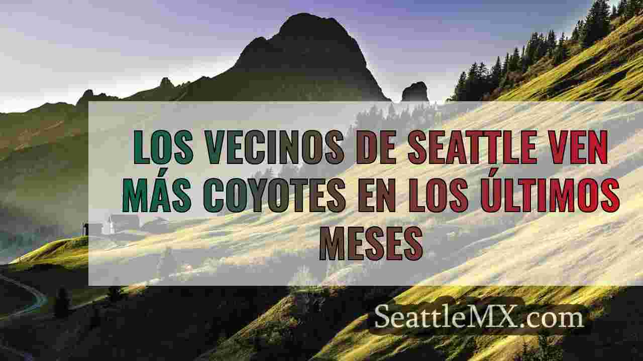 El barrio de Seattle ve más coyotes en