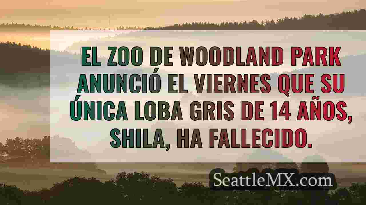 Noticias de Seattle SeattleMX