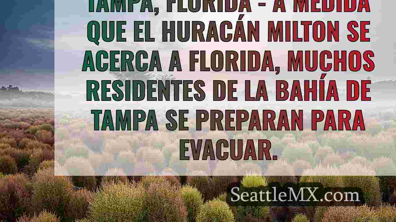 Noticias de Seattle SeattleMX